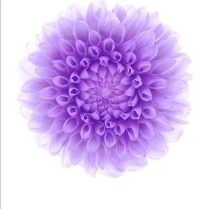 Meet your Posher, Danny